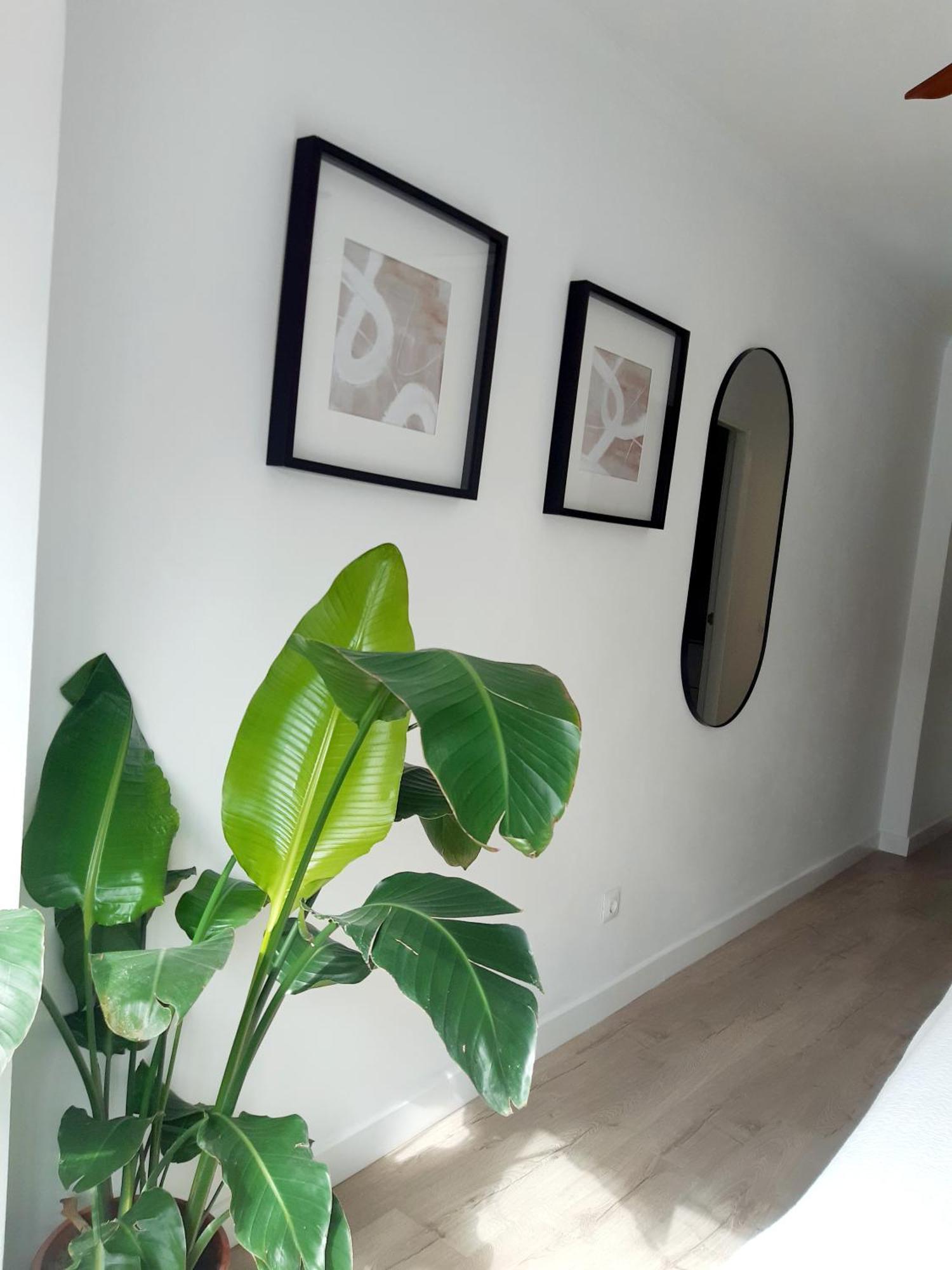 Impressive Apartment With 3 Bedrooms Metres From The Beach Естепона Екстер'єр фото